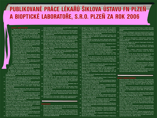 Poster: Publikace 2006