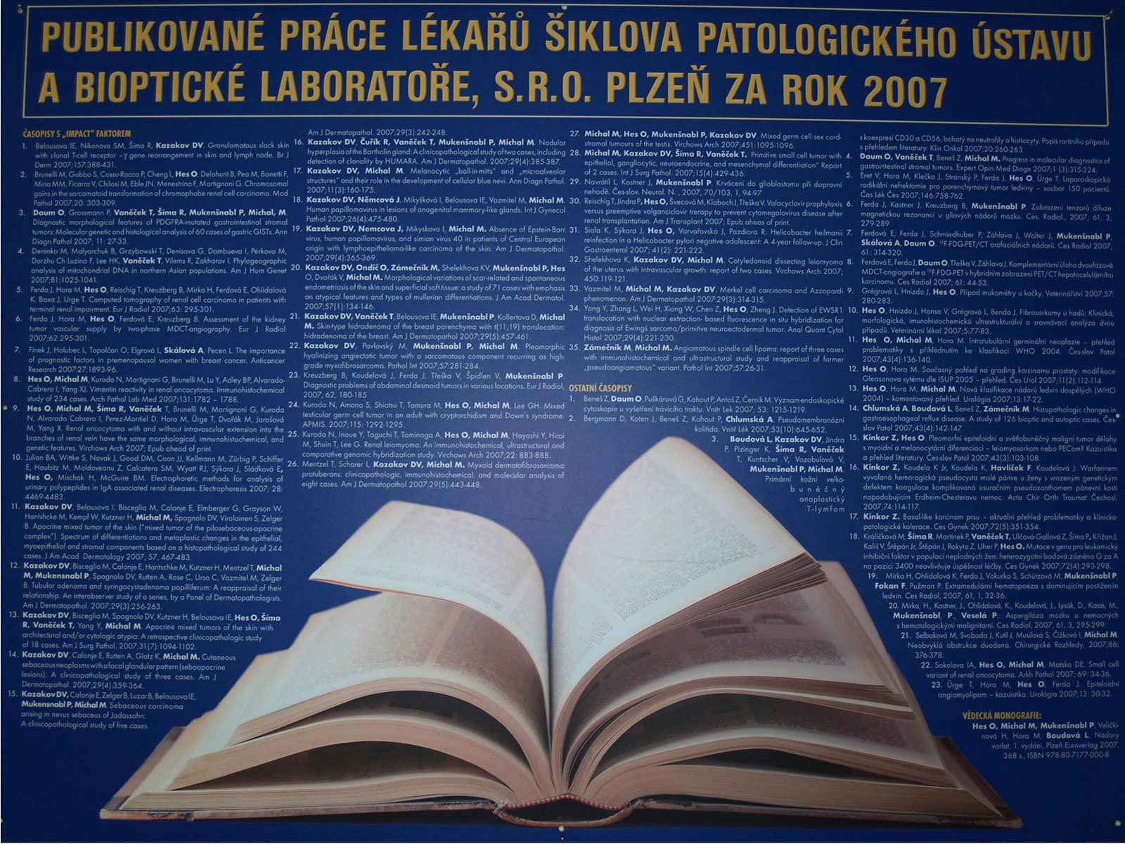 Poster: přehled publikační činnosti