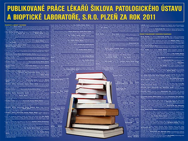 Poster: Publikace 2011
