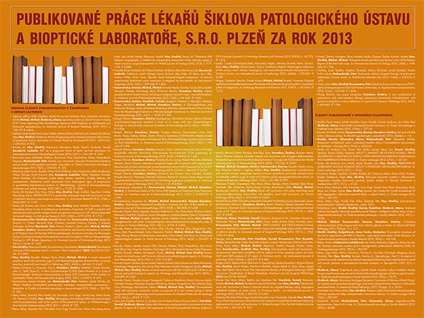 Poster: Publikace 2013