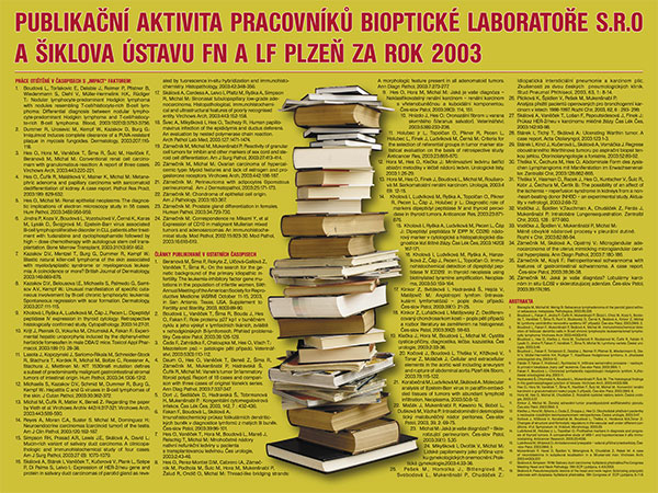Poster: Publications 2003