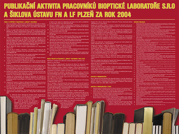 Poster: Publications 2004