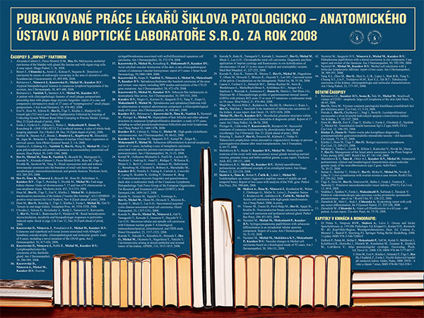Poster: Publications 2008