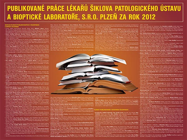 Poster: Publications 2012