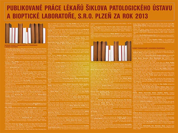Poster: Publications 2013