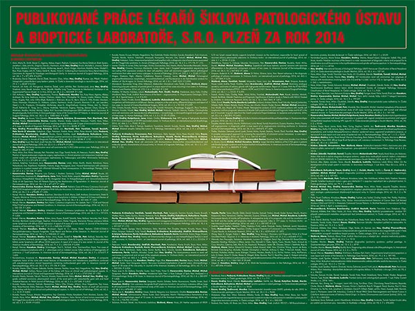 Poster: Publications 2014